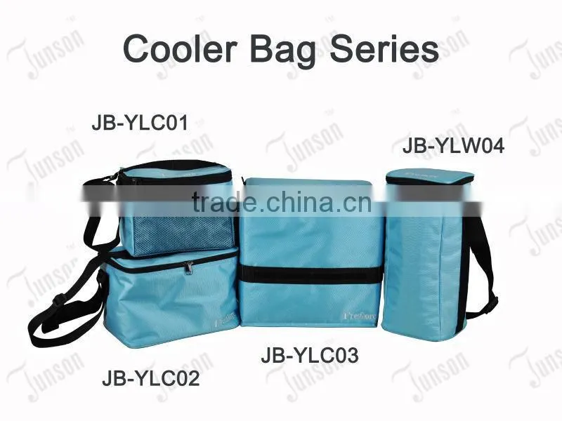 Waterproof Picnic Cooler Bag/Medium Size 8 Can Cooler Bag/Cheap Ice Bag Manufacturer