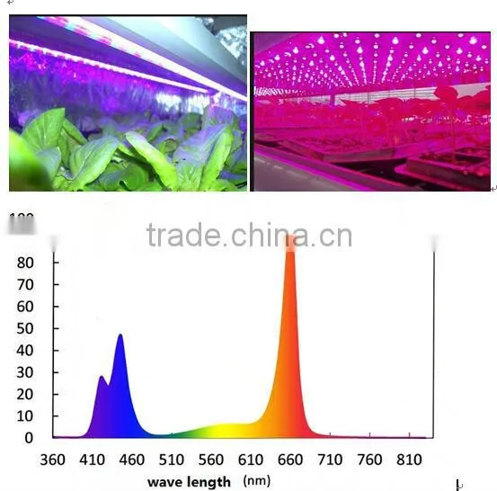 3528 indoor led plant growing Light T8 Tubes customized light spectrum