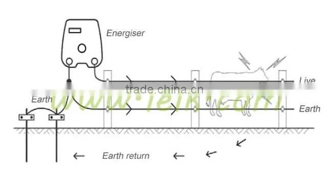 solar energiser electric fence for predators