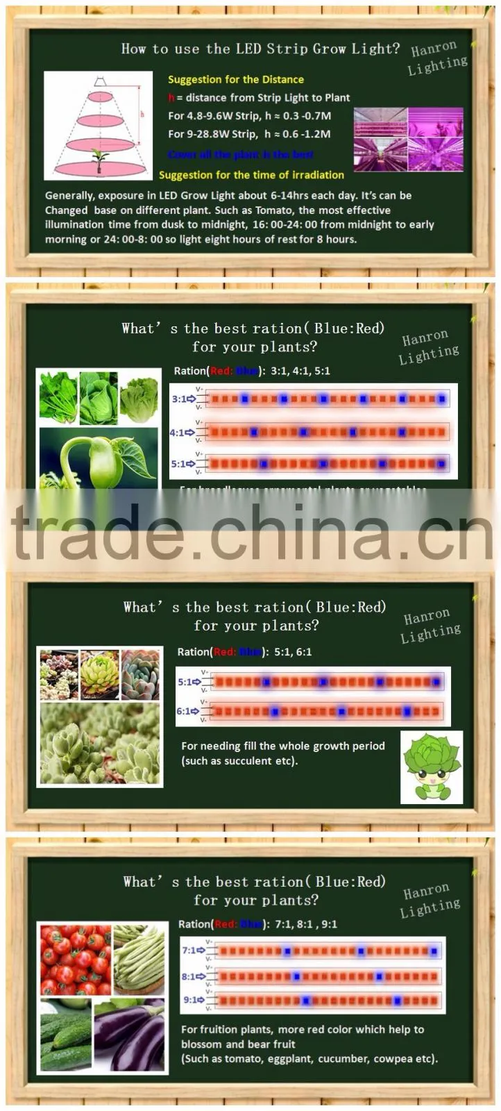 Shenzhen Factory Growing Lights LED 3w LED Grow Light for Growing