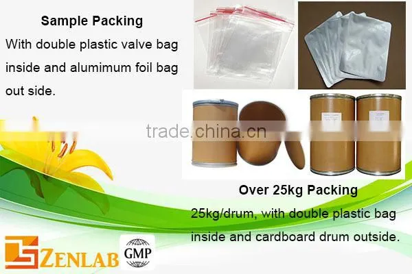 High quality gingerol ginger extract ginger root powder