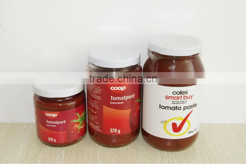 Best taste tomato ketchup concentrated in glass bottle 500gX12bottles