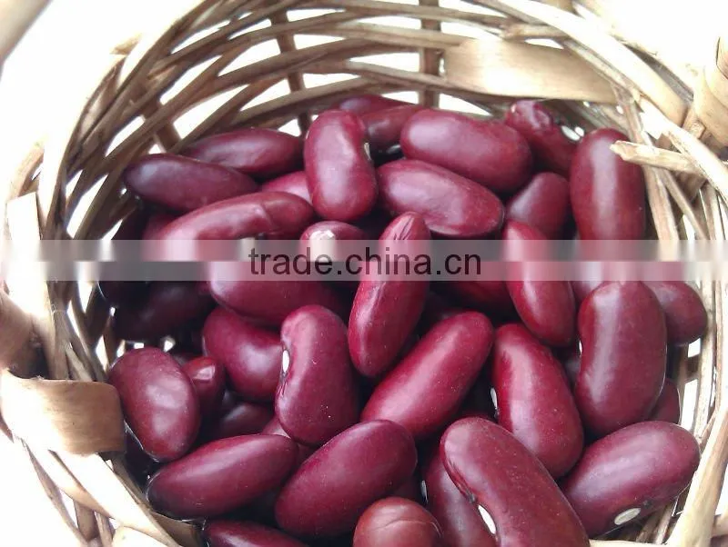 Dark Red Kidney Bean( British type, Heilongjiang origin.hps)