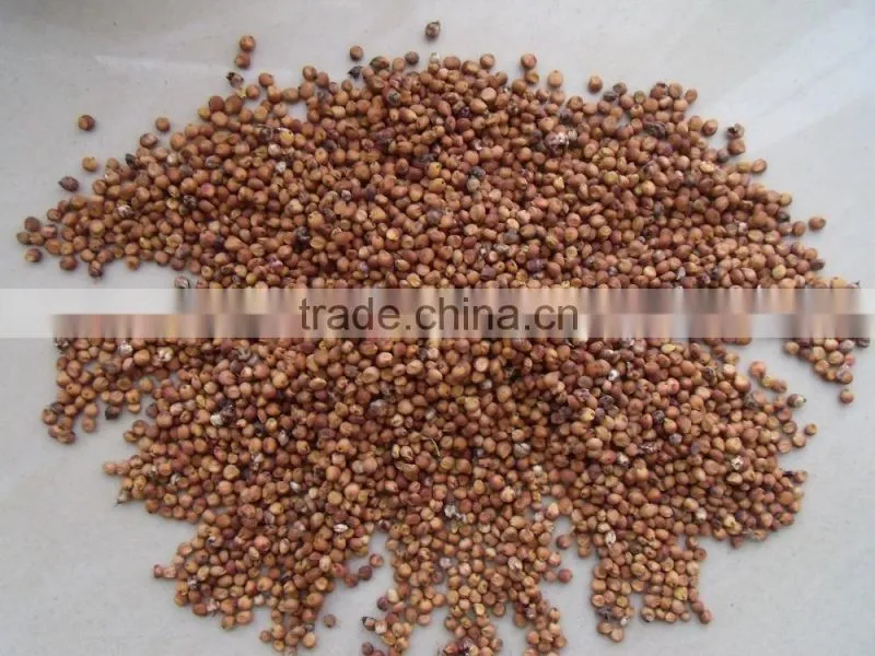 Price Of Red Sorghum