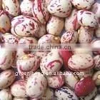 2011 chinese red speckled kidney beans(cheapest price)