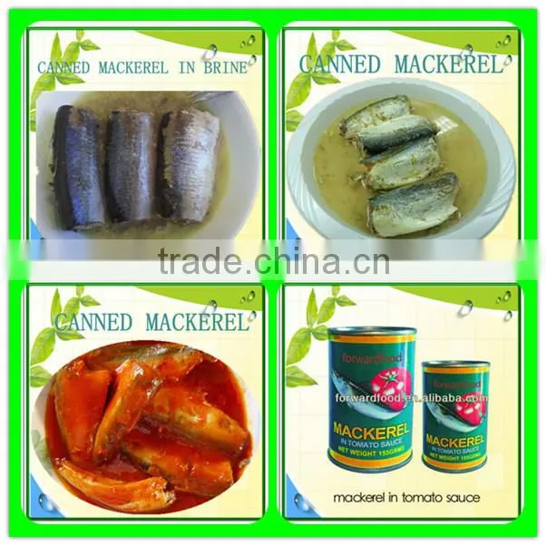 155/425g mackerel fish canned mackerel in brine