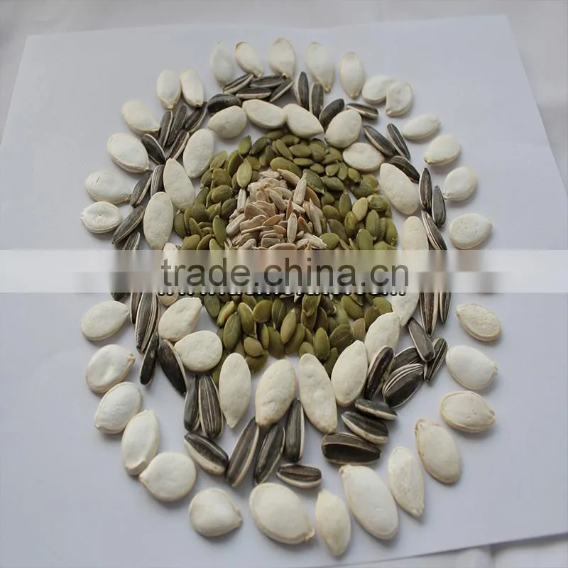 Grade A Snacks Black Watermelon Seed