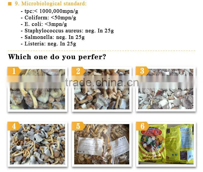 Common Cultivation wholesale fresh boletus mushroom