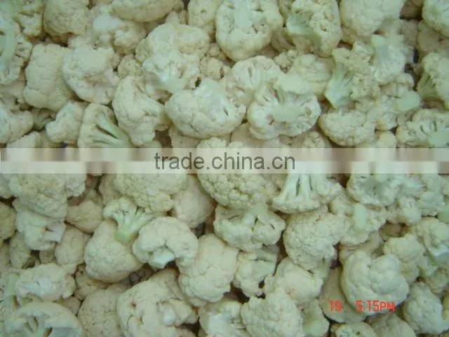 Frozen IQF vegetable manufacturer export cauliflower