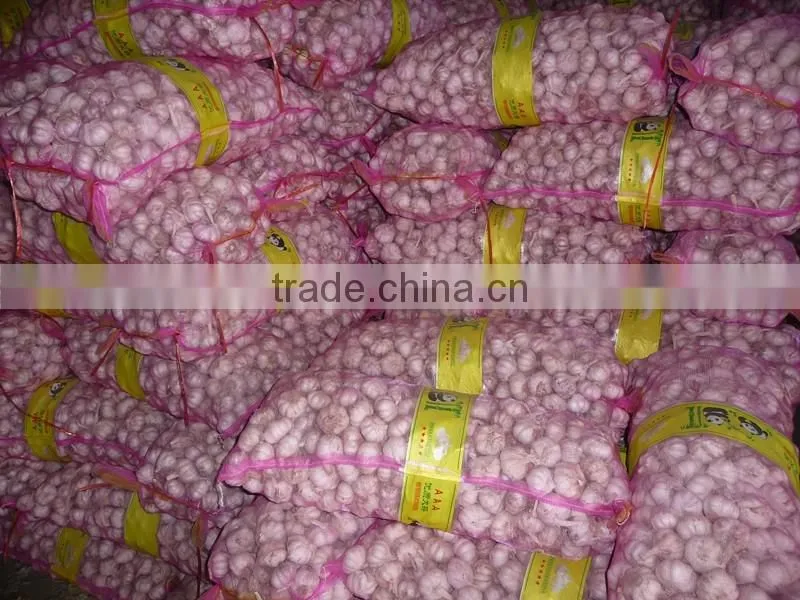 Garlic Dehydrated Manufacturers Garlic Flakes Air Dried White Dried Garlic Flakes from Factory Low Price Garlic Sliced