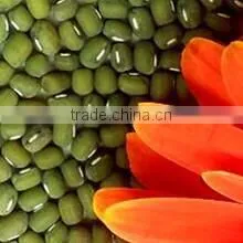 Dalian Jinshengxi International Trading Co., Ltd. company overview - view 2