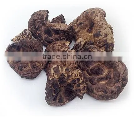 Dried Sarcodon Imbricatus Mushroom