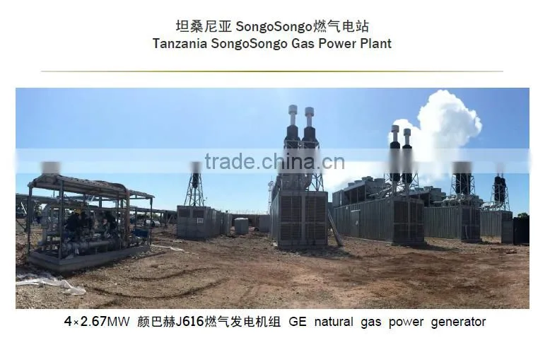 Camda lpg generator/Gas generator/Power plant