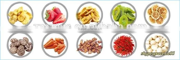 Widely used efficient electric heat hot air ginger drying machine price