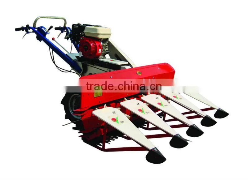 Self-propelled walking behind wheat harvest machine in Harvesters