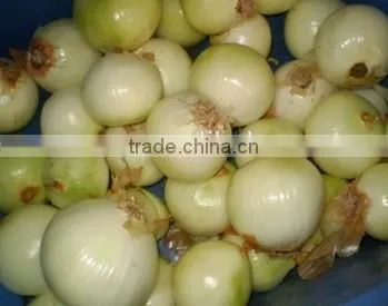 Onion Peeler Peeling Machine Skin Remover Striper