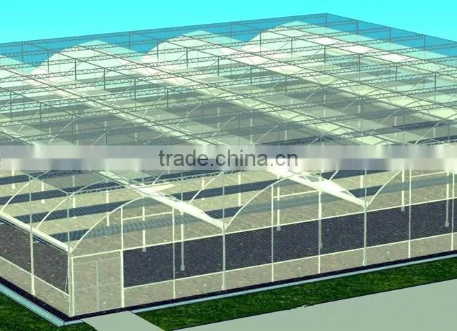Hot sale multi span farm machinery greenhouse
