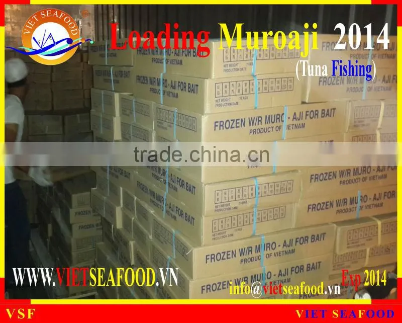 LOADING MUROAJI FOR TUNA BAIT