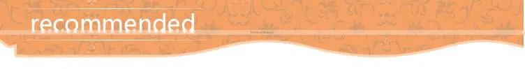 Lace Colombian Waist Cincher JSE013
