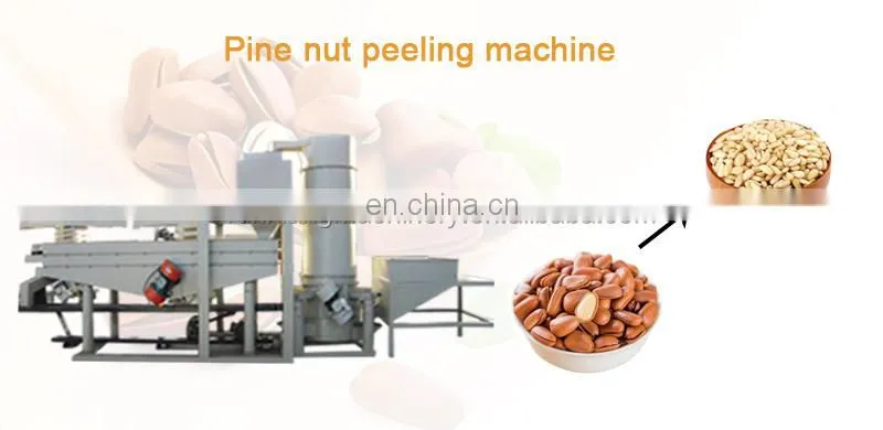 Hot Sale Melon Seeds Peeler Pumpkin Acorn Pine Nut Cracking Machine Snack Seed Nut Production Line