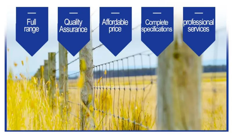 Hot-dip Galvanized Wire Mesh Anti-rust Fence Net Wholesale Breeding Net Cattle Fence Net Orchard protection Net Steel Wire Mesh
