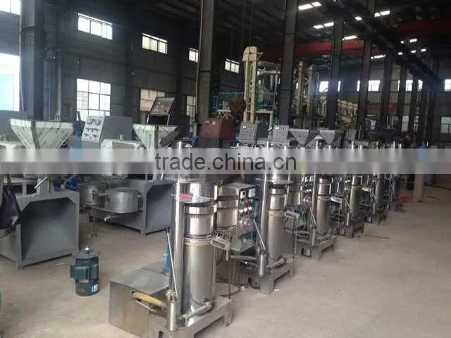 Small durable spiral shea butter oil extractor extraction machine, skin care avocado oil press machine