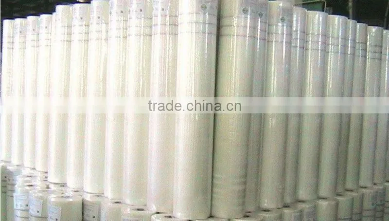 Low price fiber mesh/faber glass mesh net