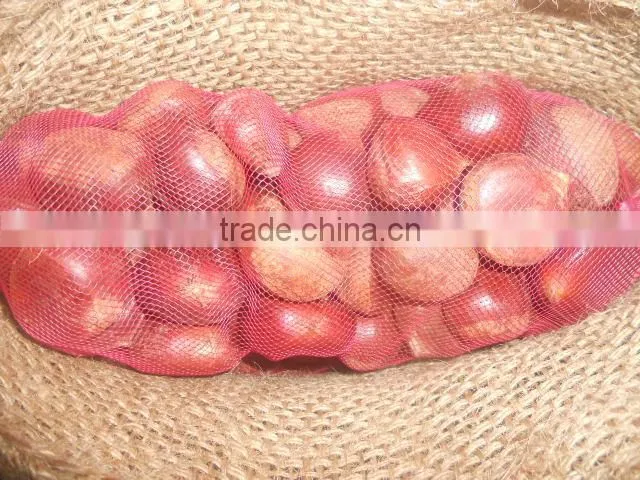 Fresh Style and Chestnut Type fresh Chestnut