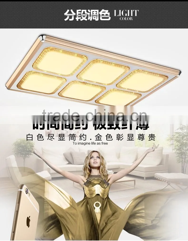 Aluminum alloy frame lighting China led ceiling acrylic ceiling lamp