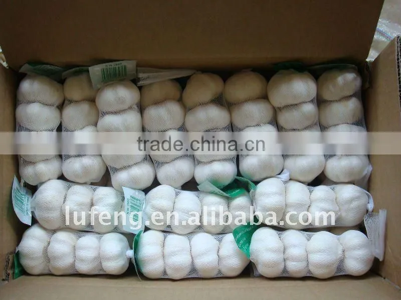 Chinese Fresh Garlic