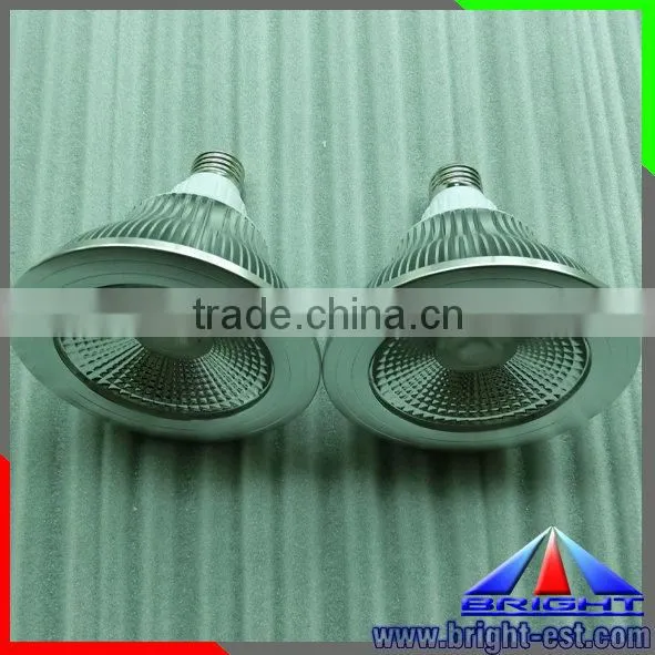 China supplier plastic type led Par light, led Par38 spotlight, led COB chip spot light E27