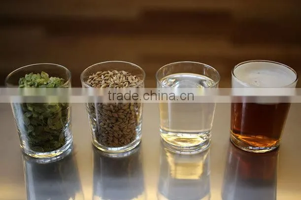 100L Ale and lager drink brewing and making system Beer can making equipment for sale
