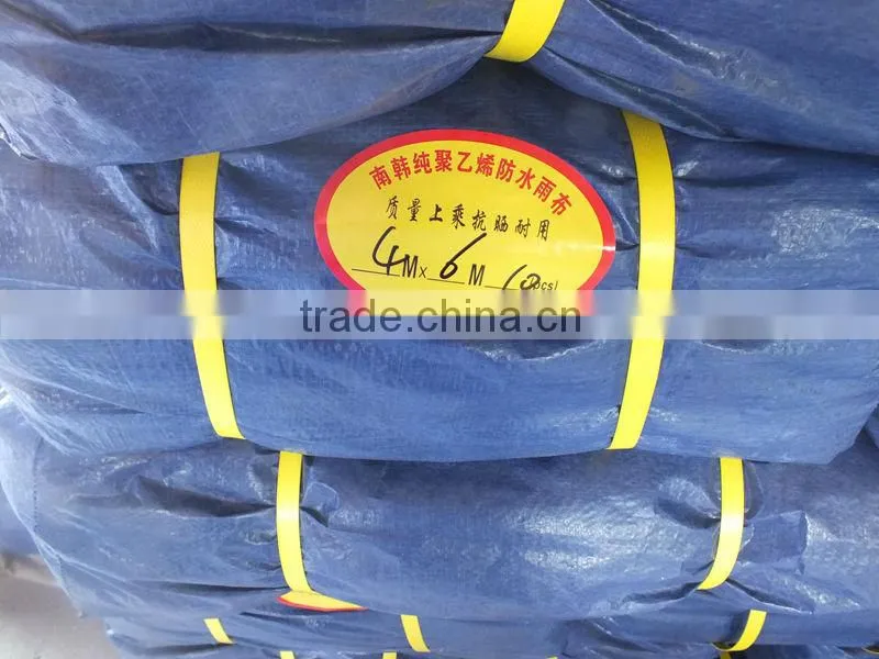 Blue/Silver PP Plastic Laminating Tarps Sheets Tarpaulin Plastic Sheet with All Specifications China Manufacturing