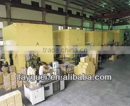 Silicon Steel Sheet laminated Shaded Pole Motor Rotor Stator