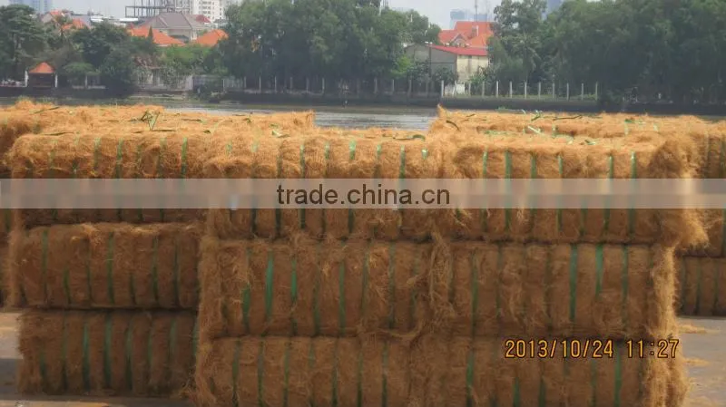 Coconut Fiber 2016 (qq : 2598494113)