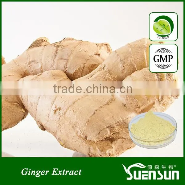 NSF-GMP Certificated Free sample ginger root powder dried ginger powder price