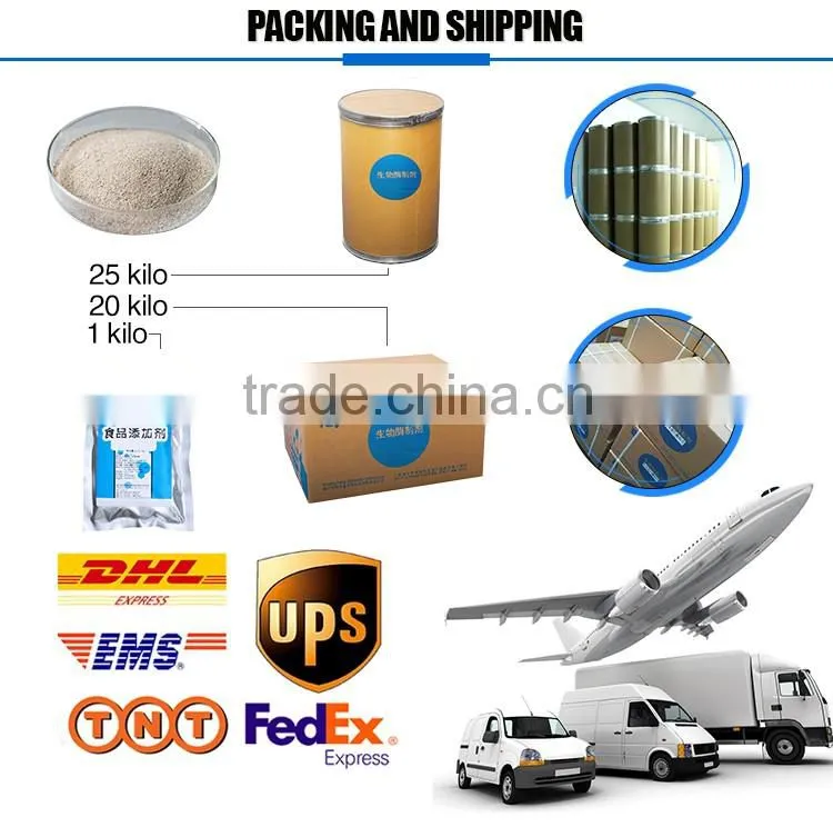High quality feed additives enzymes feed grade bacillus subtilis