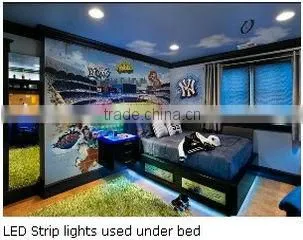 christmas rope light waterproof smd 5050 60 Leds/meter DC 12V