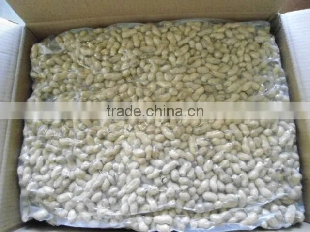 shandong dry roasted peanut with shell