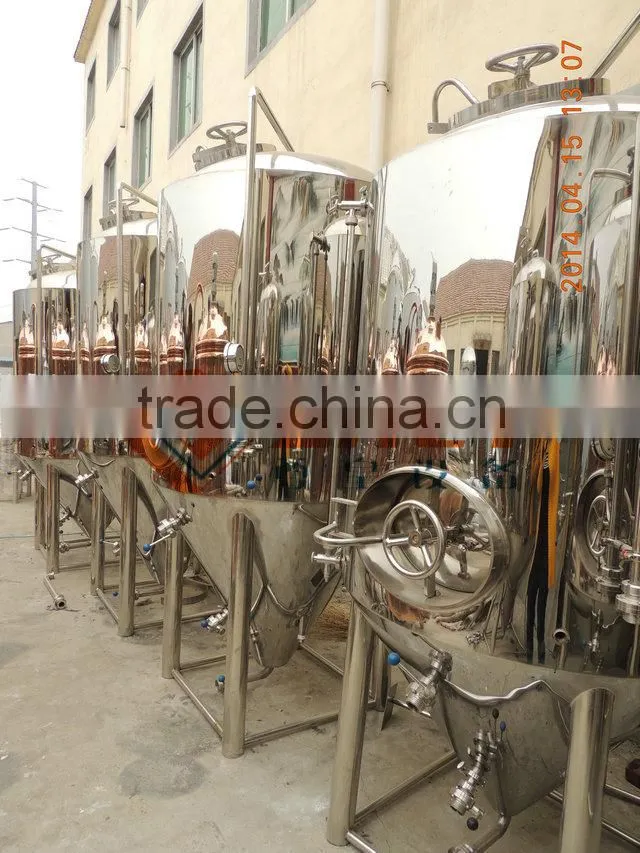 500l professional beer brewing equipment(CE+TUV)