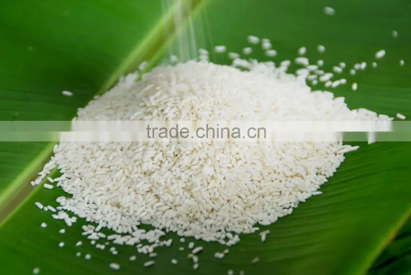 VIETNAM GLUTINOUS RICE 5% BROKEN - VINAFOOD1