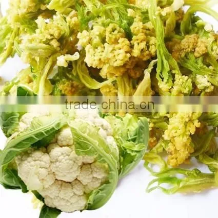 Top selling in China Market Dehydrated Potato Granules