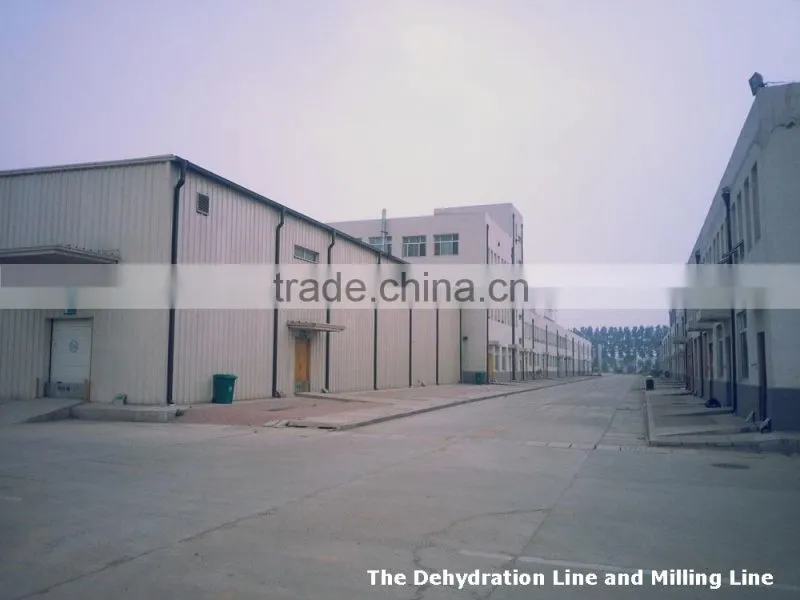 Dehydrated Onion Flakes/Granules/Powder for Different Specification