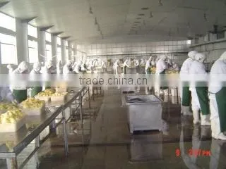 Shandong Joywin Green Agriculture Development Co., Ltd. company overview - view 2
