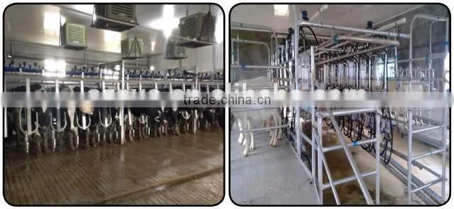High capacity cow milking machine dairy farm machinery with best price