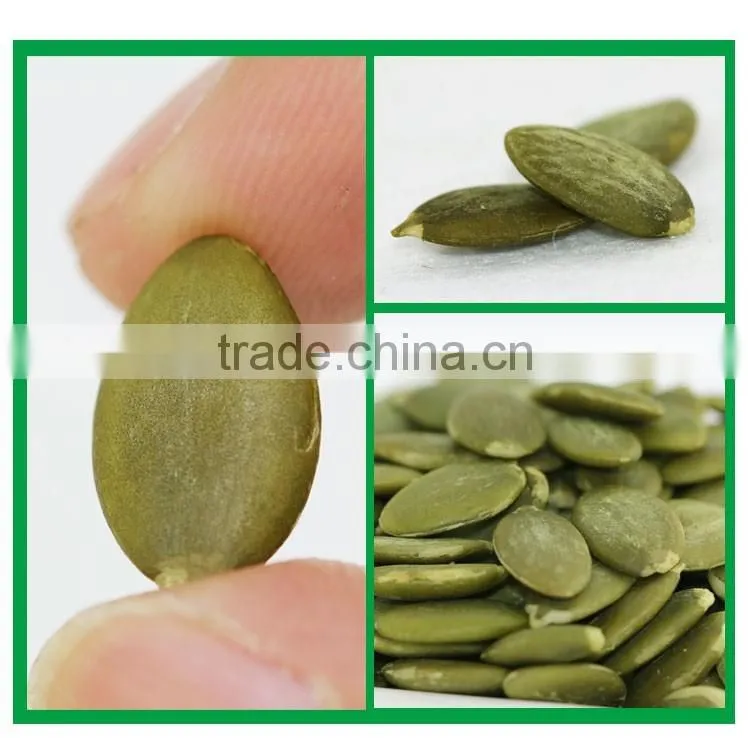 EU standard Pumpkin seeds kernels shine skin grade AA