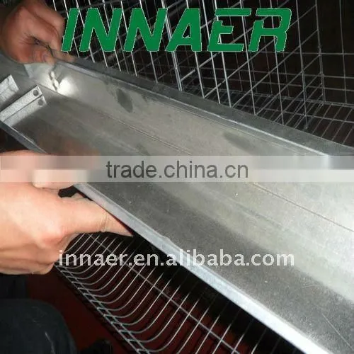 Automatic feeding line for layers and broilers