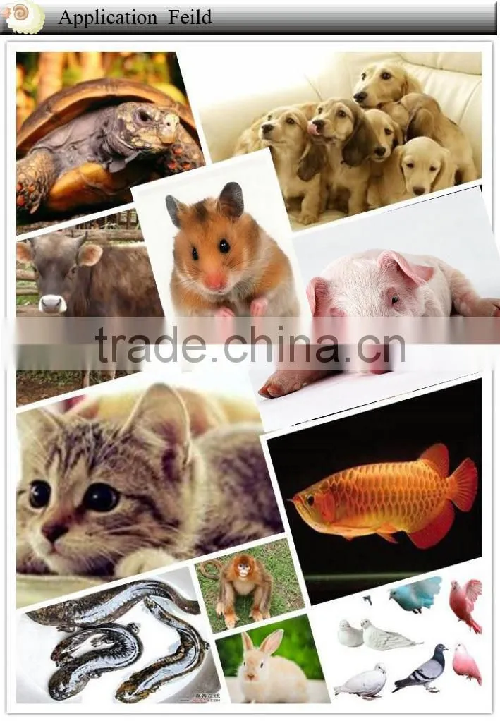 Hot selling pet injector for pet