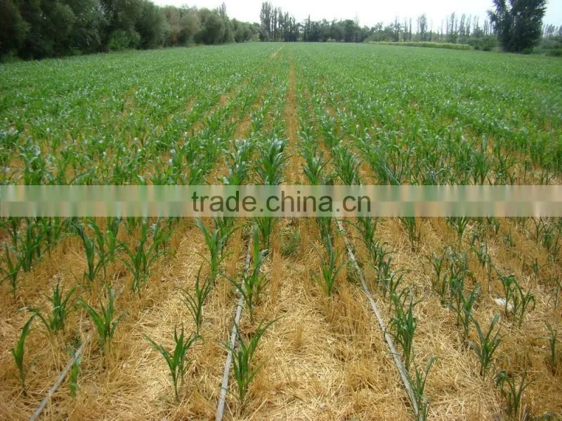 4% discount Drip irrigation system drip tape