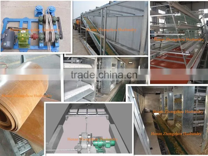 New Design Broiler Cage System